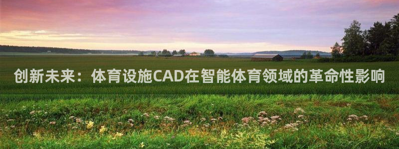 意昂4娱乐下载：创新未来：体育设施CAD在智能体育领