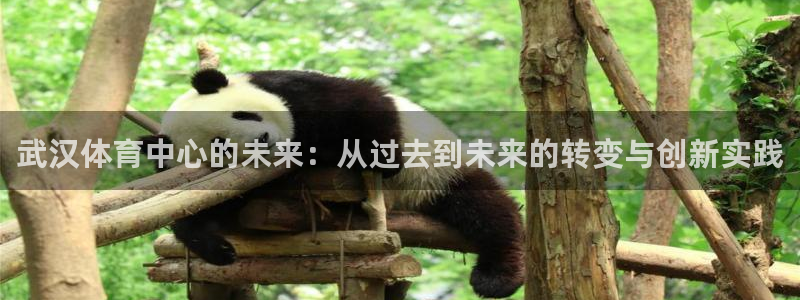 意昂体育4：武汉体育中心的未来：从过去到未来的转变与