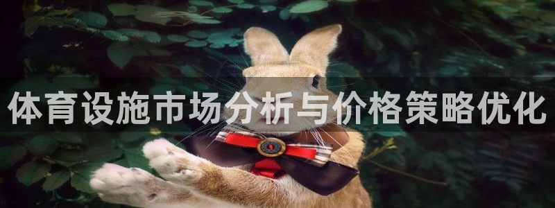 意昂体育4注册：体育设施市场分析与价格策略优化