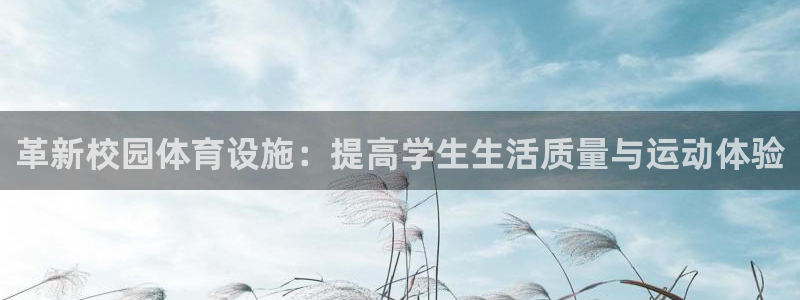 意昂体育4平台是正规平台吗：革新校园体育设施：提高学生生活质