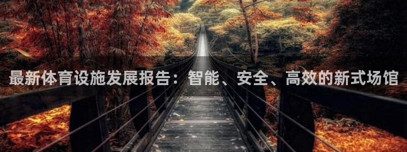 意昂4开户：最新体育设施发展报告：智能、安全、高效的