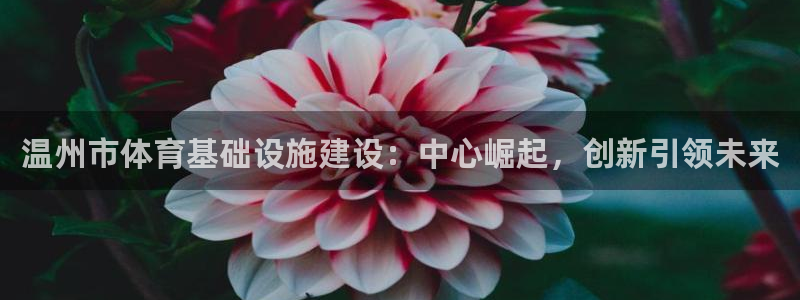 意昂体育4是干嘛的公司：温州市体育基础设施建设：中心