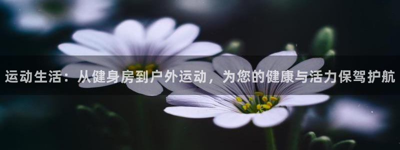 意昂体育4招商电话是多少号码：运动生活：从健身房到户