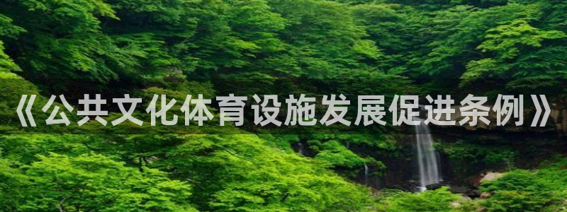 意昂体育4平台是正规平台吗：《公共文化体育设施发展促