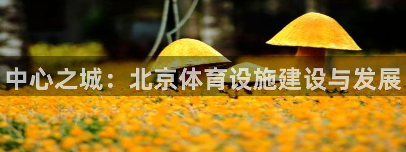 意昂体育4招商电话地址：中心之城：北京体育设施建设与