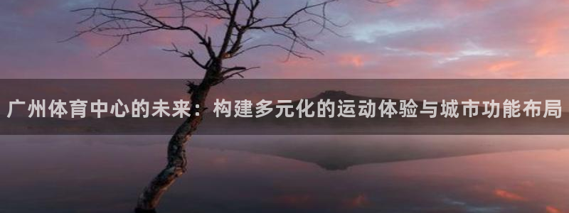 意昂体育4招商电话地址：广州体育中心的未来：构建多元