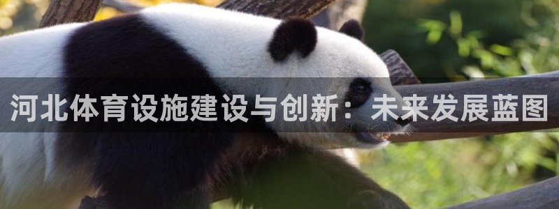 意昂体育4招商电话是多少：河北体育设施建设与创新：未来发展蓝