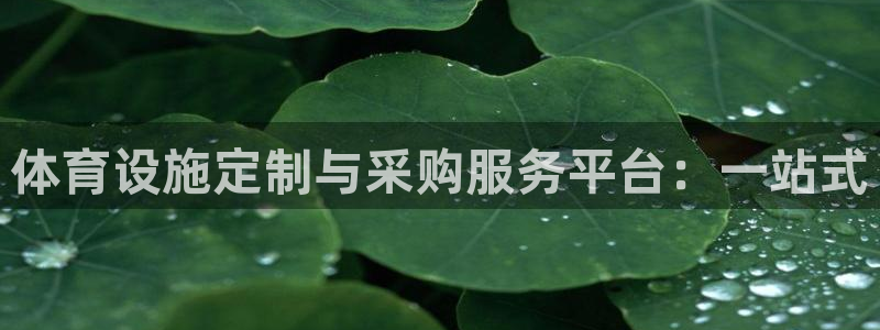 意昂体育4：体育设施定制与采购服务平台：一站式