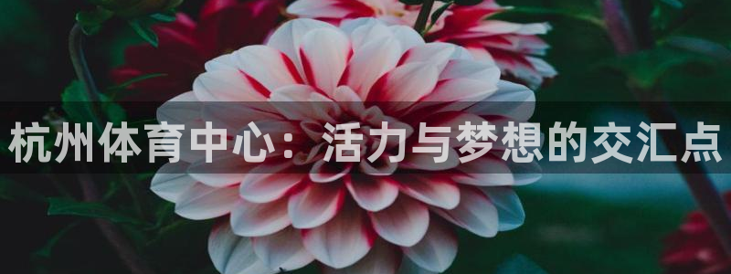 意昂体育4平台是正规平台吗知乎：杭州体育中心：活力与