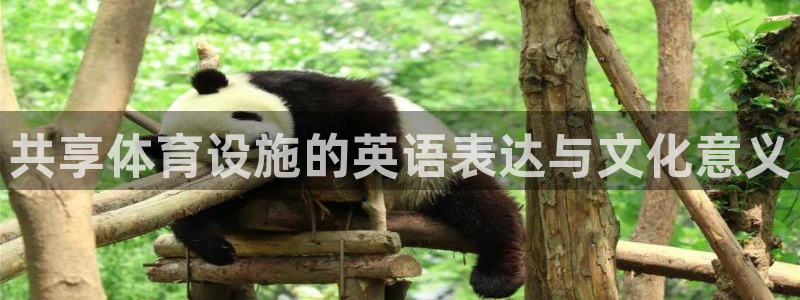 意昂体育4招商电话号码是多少号：共享体育设施的英语表