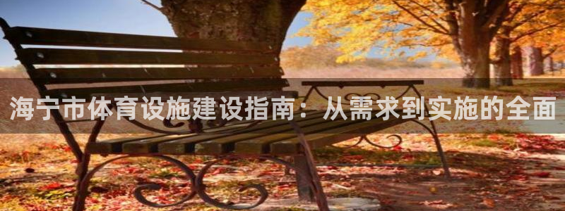 海南意昂体育4发展怎么样：海宁市体育设施建设指南：从需求到实