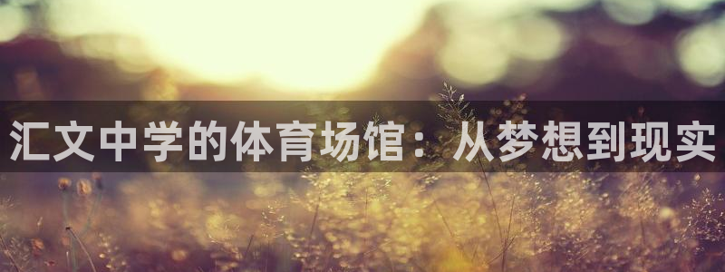 意昂体育4：汇文中学的体育场馆：从梦想到现实
