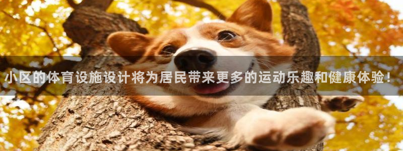 注册意昂4：小区的体育设施设计将为居民带来更多的运动乐趣和健