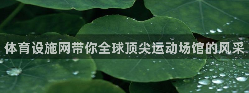 意昂体育4联系电话：体育设施网带你全球顶尖运动场馆的