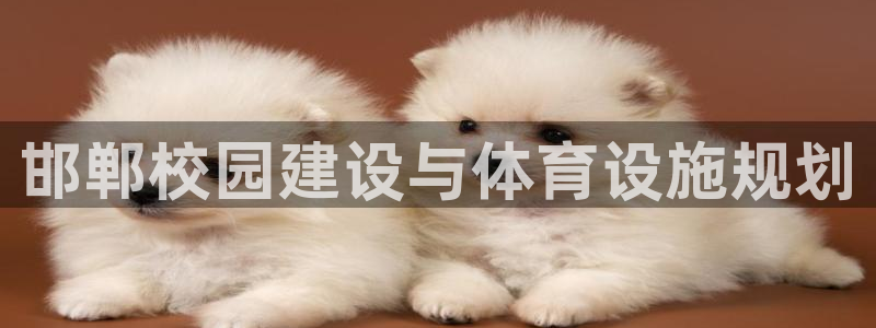 意昂4娱乐下载：邯郸校园建设与体育设施规划