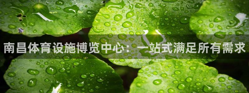 意昂体育4平台APP：南昌体育设施博览中心：一站式满