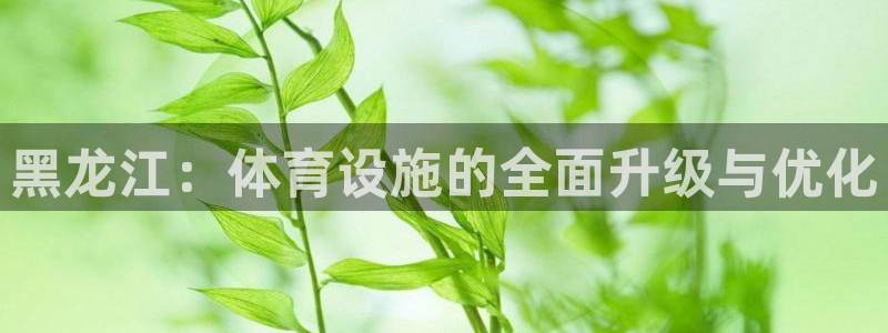 意昂体育4招商电话号码是多少：黑龙江：体育设施的全面