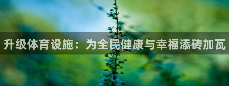 意昂体育4平台注册：升级体育设施：为全民健康与幸福添