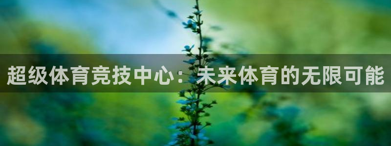 意昂平台体育：超级体育竞技中心：未来体育的无限可能