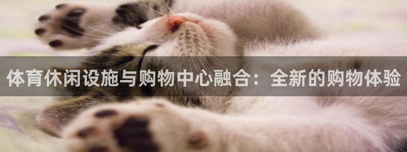 意昂体育4平台：体育休闲设施与购物中心融合：全新的购