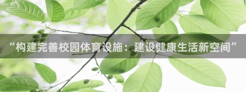 意昂体育4招商电话地址查询：“构建完善校园体育设施：