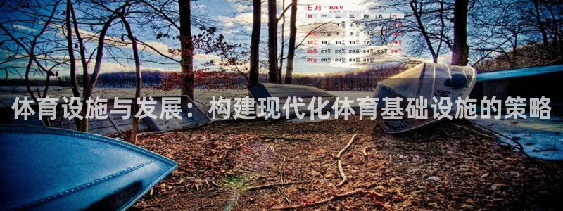 意昂4五金厂：体育设施与发展：构建现代化体育基础设施