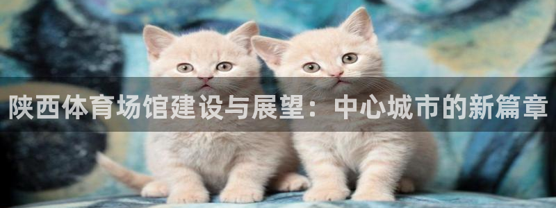 海南意昂体育4：陕西体育场馆建设与展望：中心城市的新