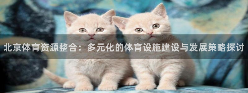 意昂体育4是干嘛的公司：北京体育资源整合：多元化的体