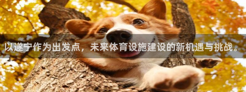 意昂4娱乐代理怎么样：以遂宁作为出发点，未来体育设施