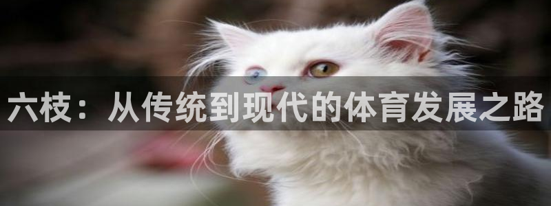 意昂4科技：六枝：从传统到现代的体育发展之路