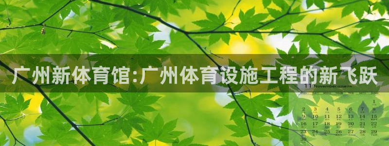 海南意昂体育4：广州新体育馆:广州体育设施工程的新飞