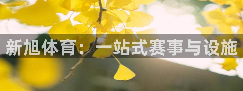 意昂体育4招商电话：新旭体育：一站式赛事与设施