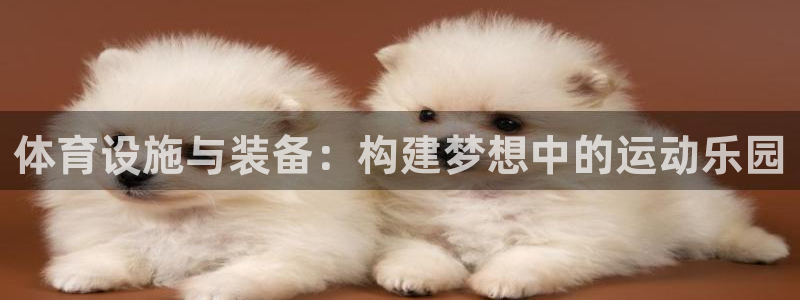 意昂体育4平台注册要钱吗安全吗：体育设施与装备：构建