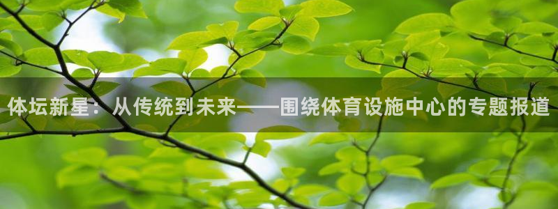 意昂4神州：体坛新星：从传统到未来——围绕体育设施中