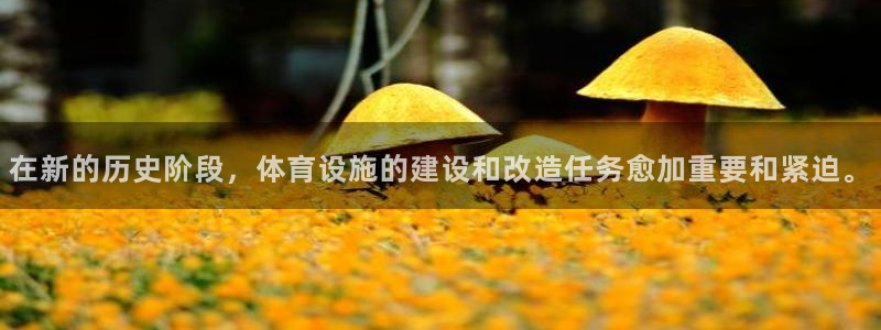 意昂体育4招商电话地址：在新的历史阶段，体育设施的建