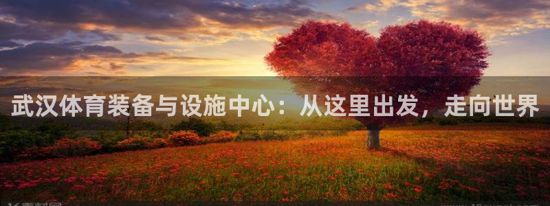 注册意昂4：武汉体育装备与设施中心：从这里出发，走向