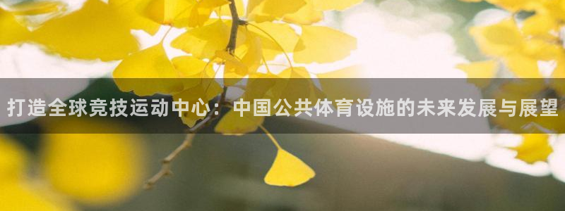 意昂体育4：打造全球竞技运动中心：中国公共体育设施的