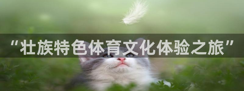 意昂体育4平台注册要钱吗安全吗：“壮族特色体育文化体