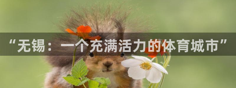 意昂4集团官网首页网址：“无锡：一个充满活力的体育城