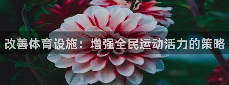 意昂4娱乐40996：改善体育设施：增强全民运动活力