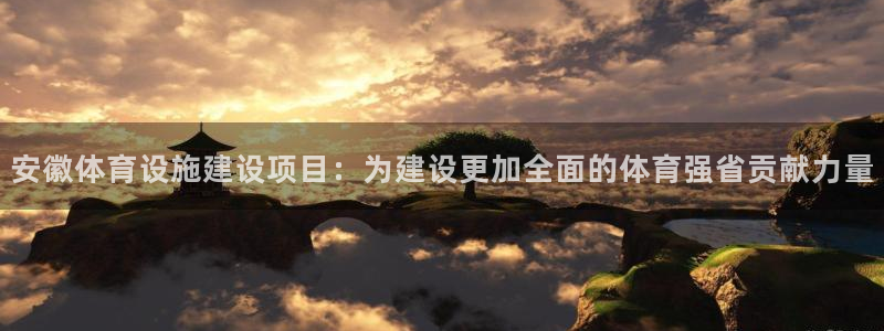 意昂体育4：安徽体育设施建设项目：为建设更加全面的体