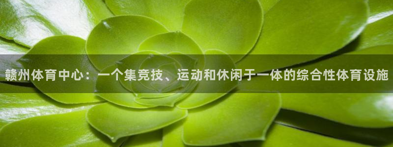 意昂4娱乐网站：赣州体育中心：一个集竞技、运动和休闲