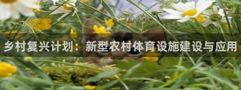 意昂4开户：乡村复兴计划：新型农村体育设施建设与应用