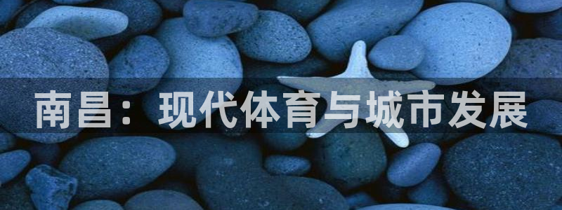 意昂4集团logo：南昌：现代体育与城市发展