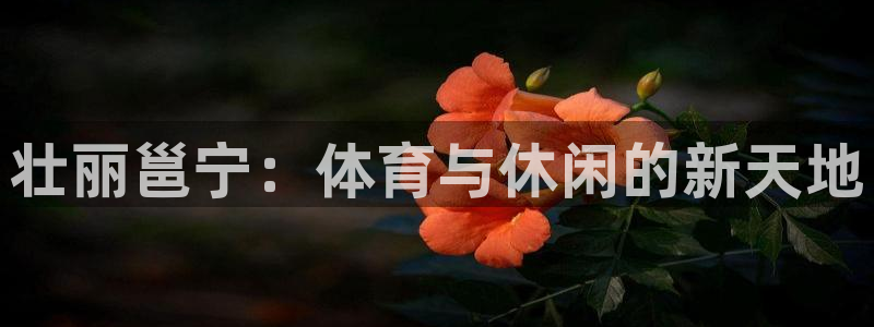 意昂体育4平台：壮丽邕宁：体育与休闲的新天地