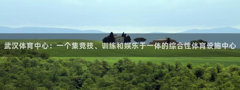 意昂4代理：武汉体育中心：一个集竞技、训练和娱乐于一