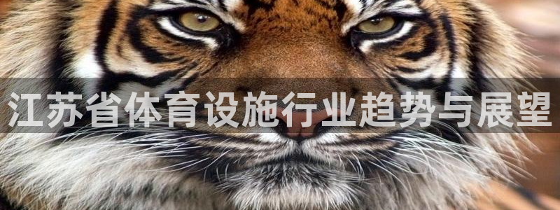 意昂体育4平台注册：江苏省体育设施行业趋势与展望
