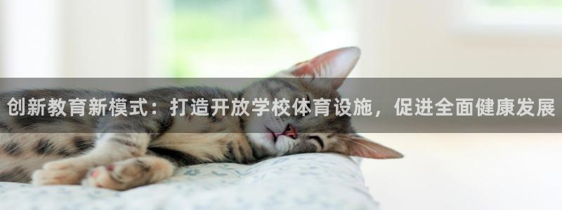 注册意昂4：创新教育新模式：打造开放学校体育设施，促进全面健