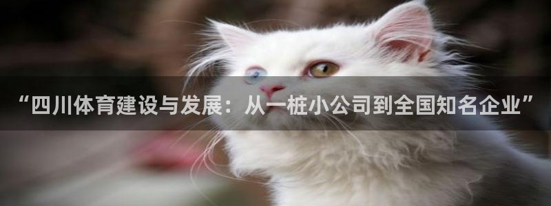 意昂体育4