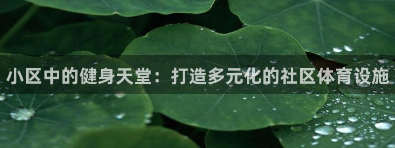 海南意昂体育4发展怎么样：小区中的健身天堂：打造多元化的社区